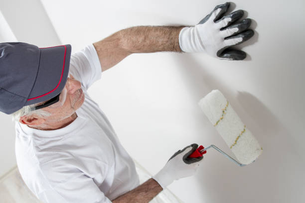 Professional Mold Removal in Annetta, TX