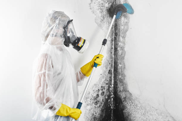 Best Indoor Air Quality Assessment  in Annetta, TX