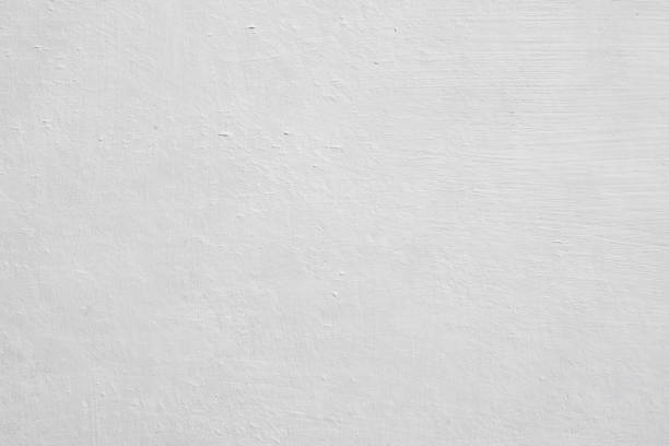 Best Black Mold Removal  in Annetta, TX