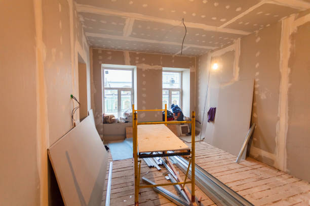  Annetta, TX Mold Removal Pros